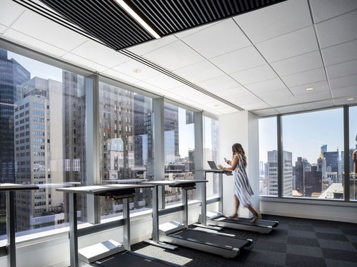 專注與協(xié)作的時(shí)尚辦公空間 紐約商務(wù)咨詢服務(wù)公司總部設(shè)計(jì)欣賞